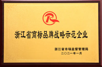 Zhejiang Province trademark brand strategy demonstration enterprises
